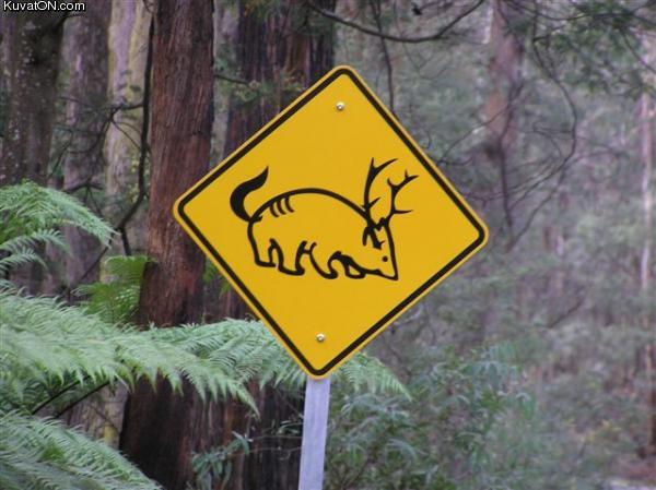 caution_strange_creatures_sign.jpg