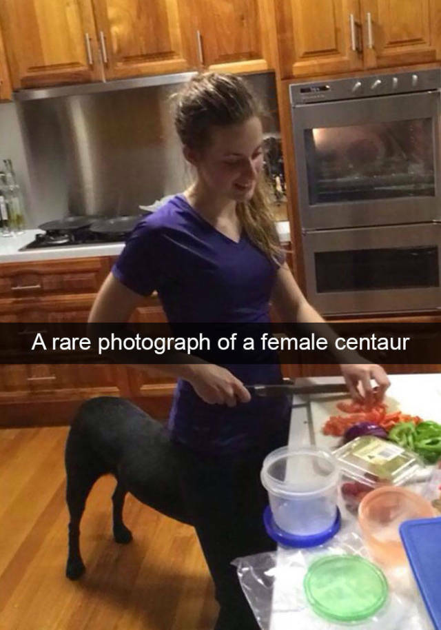 centaur3.jpg