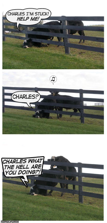 charles2.jpg