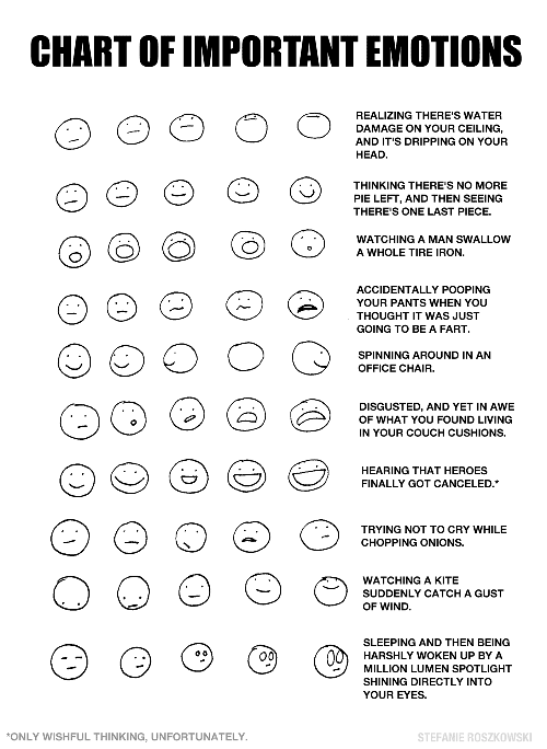 chart_of_important_emotions.gif