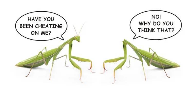 cheating4.jpg