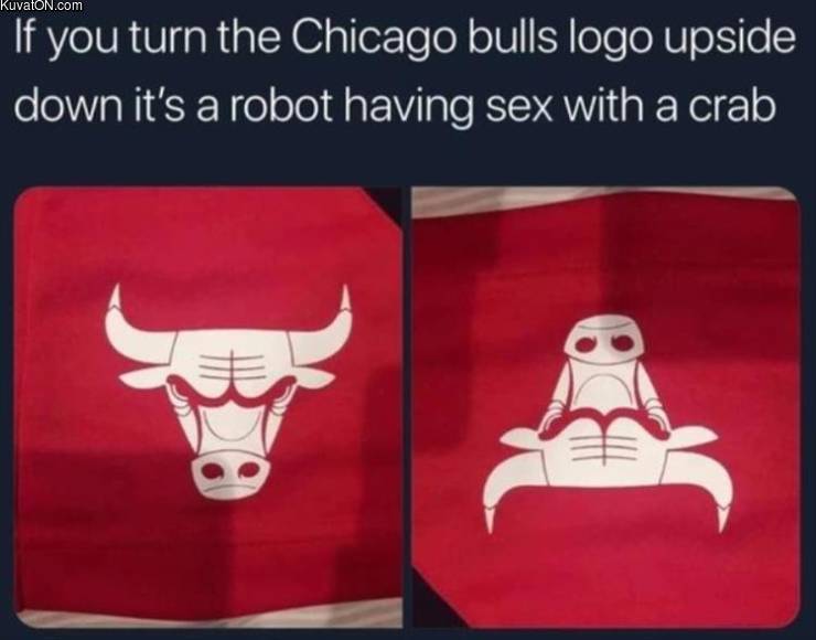 chicagobulls_logo.jpg