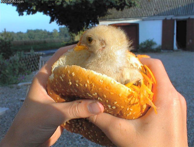 chicken_burger.jpg