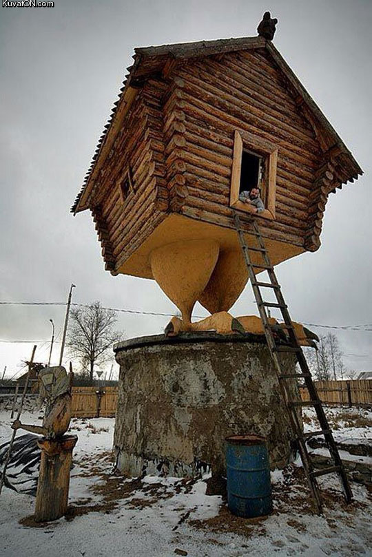 chicken_home.jpg