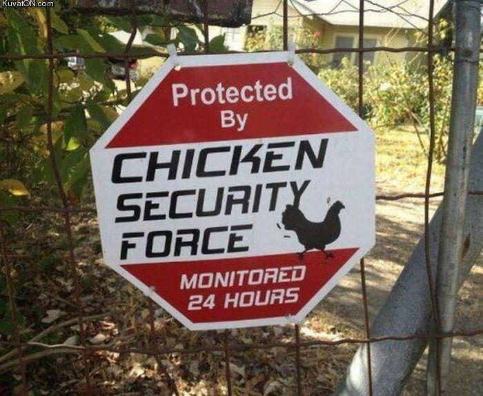 chicken_security.jpg