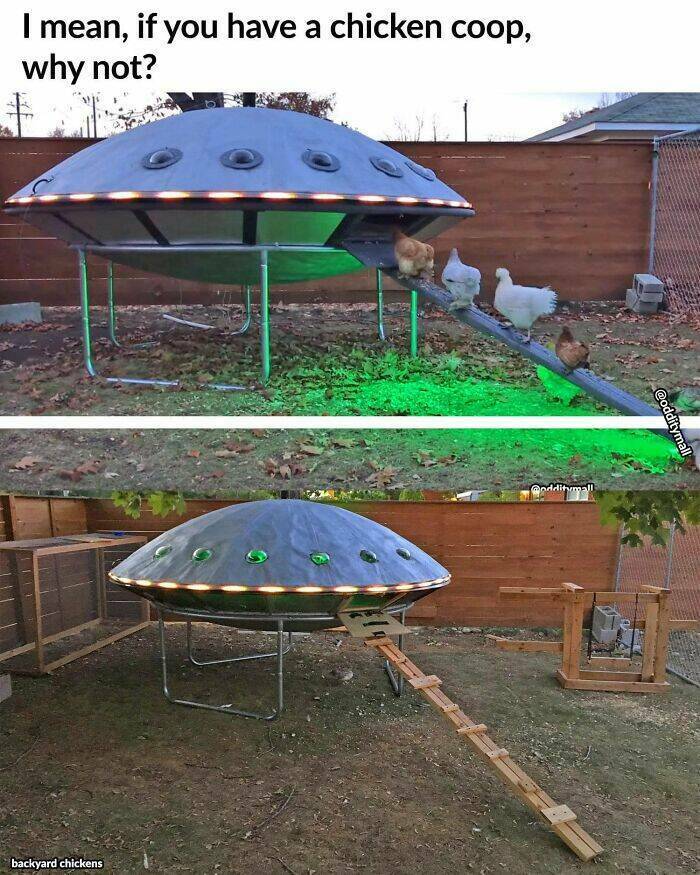 chickencoop.jpg