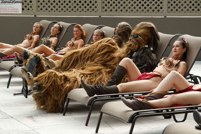 chillin_with_the_wookies.jpg