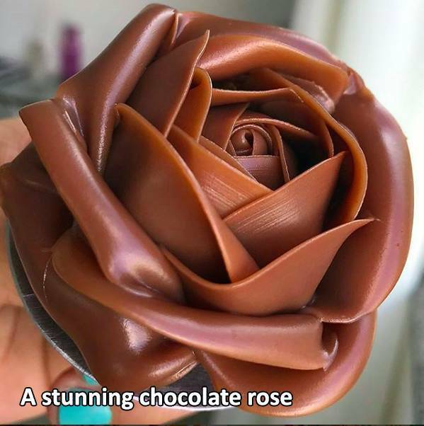 chocorose.jpg