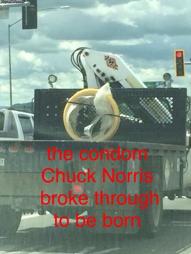 chuck_norris_3.jpg