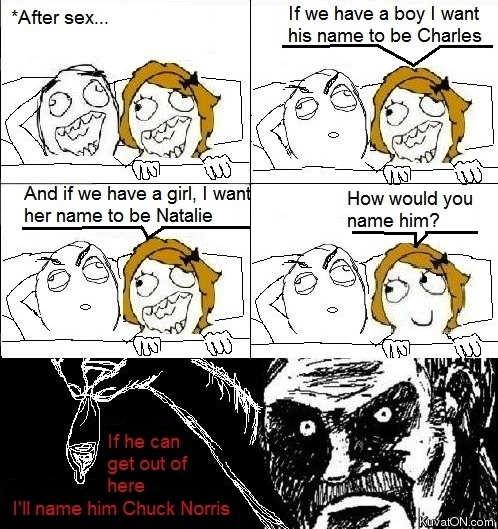 chuck_norris_meme_comic.jpg