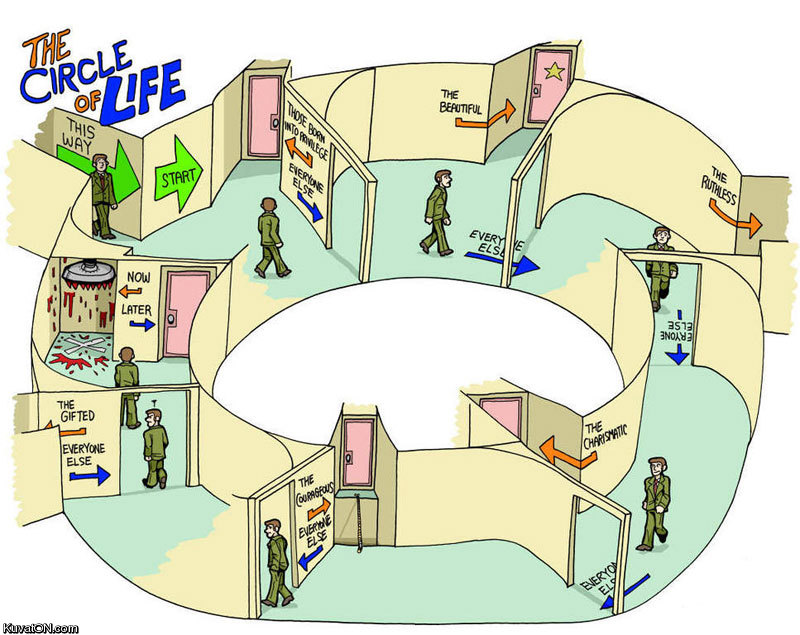 circle_of_life.jpg