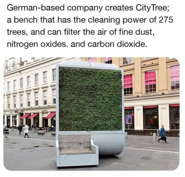 citytree.jpg