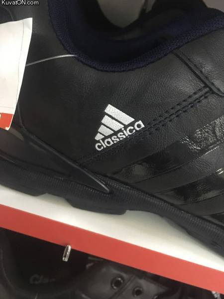 classicaadidas.jpg