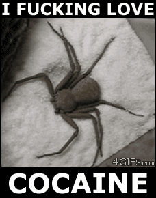 cocaine_spider.gif