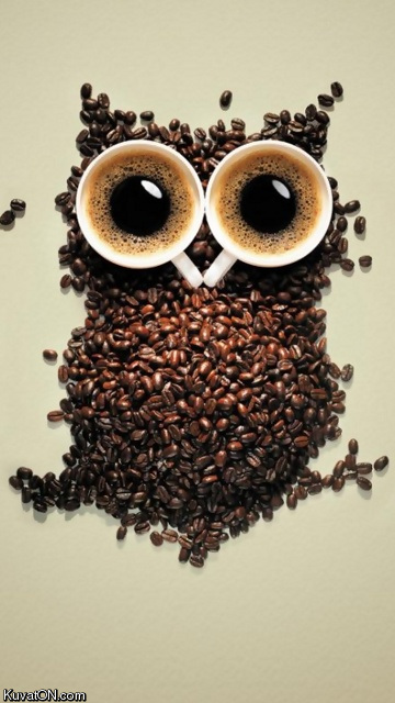 coffee_owl.jpg