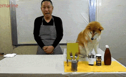 cooking_demonstration.gif