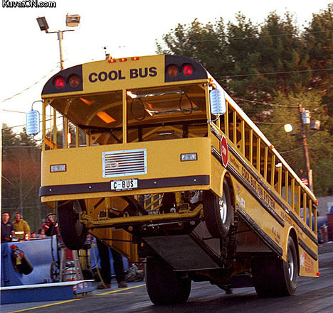 cool_bus.jpg