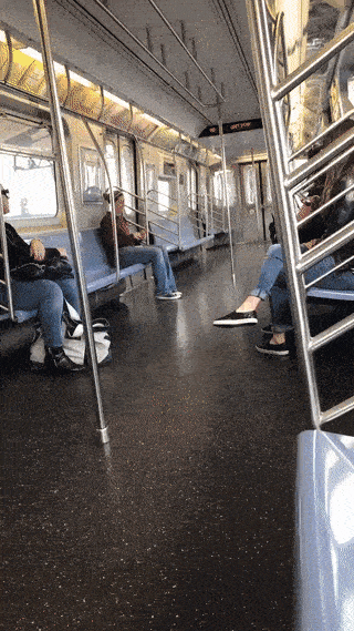 cooldog03.gif