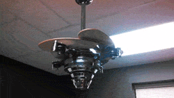 coolest_ceiling_fan_ever.gif