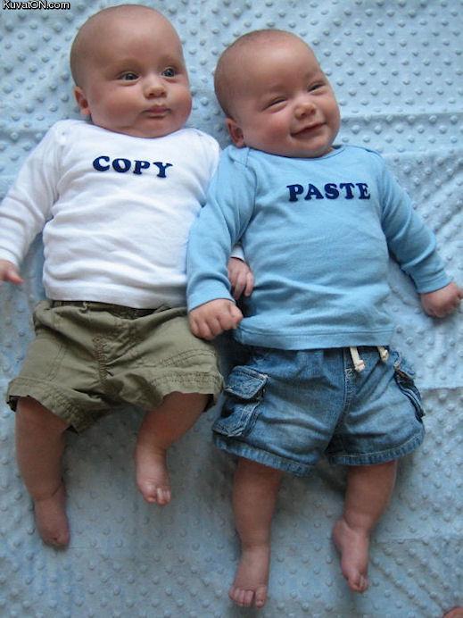 copy_paste2.jpg