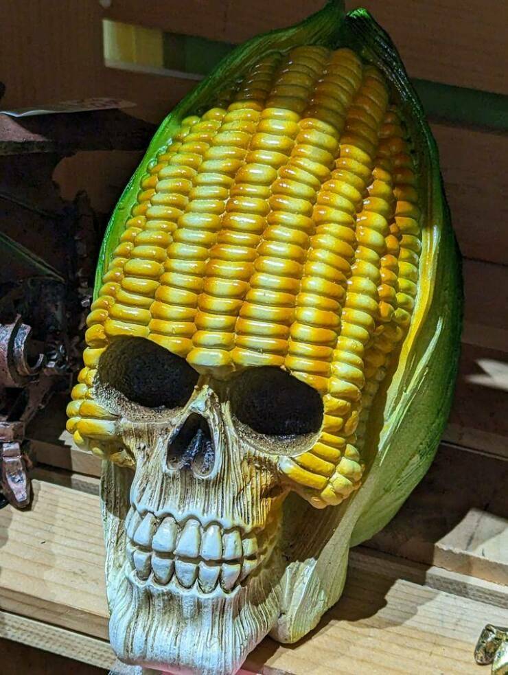cornhead.jpg