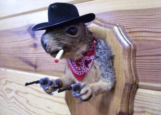 cowboykurre.jpg