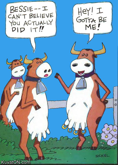 cows.jpg