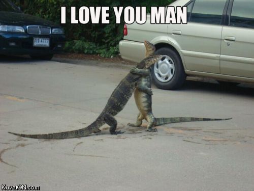croco_love.jpg
