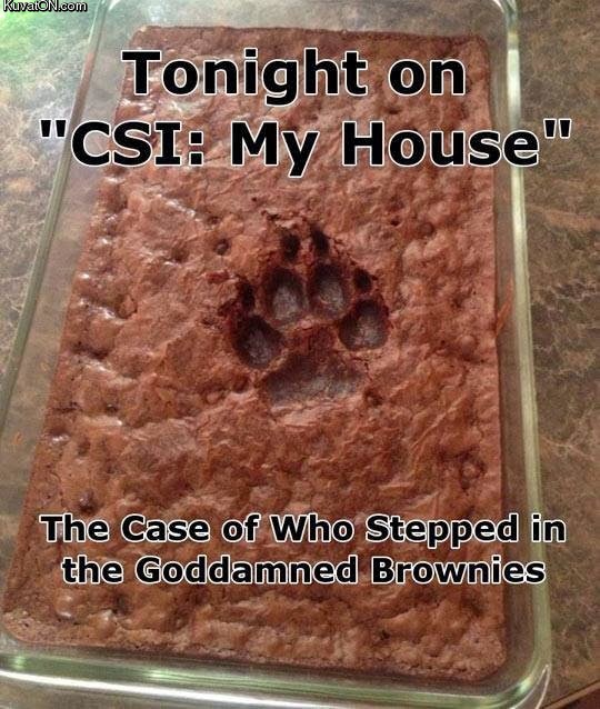 csi_my_house.jpg