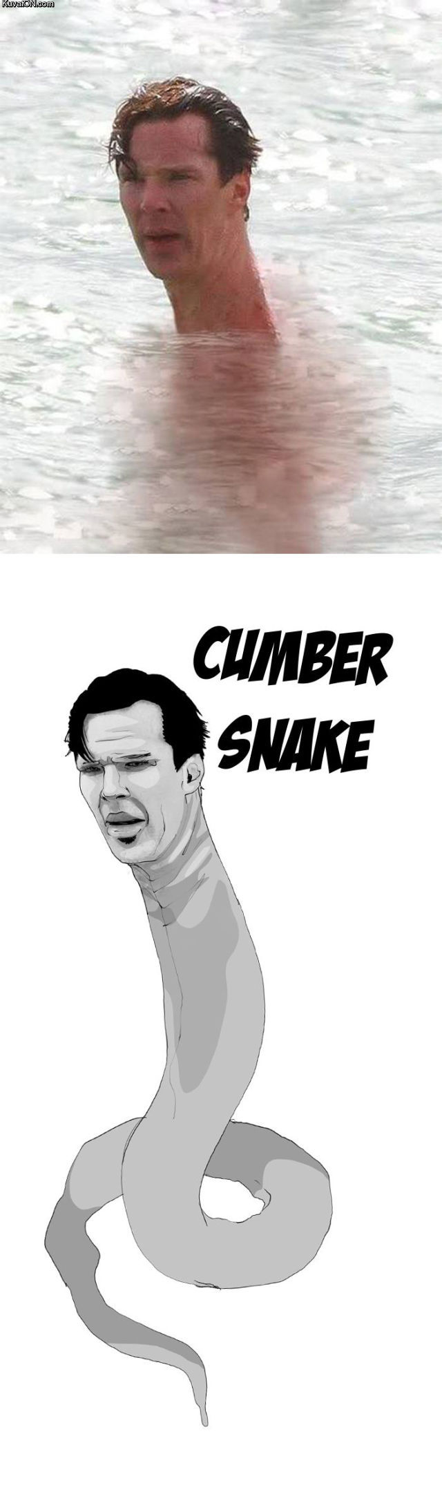 cumber_snake.jpg