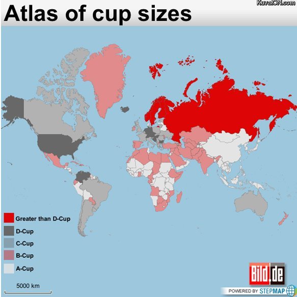 cup_sizes.jpg