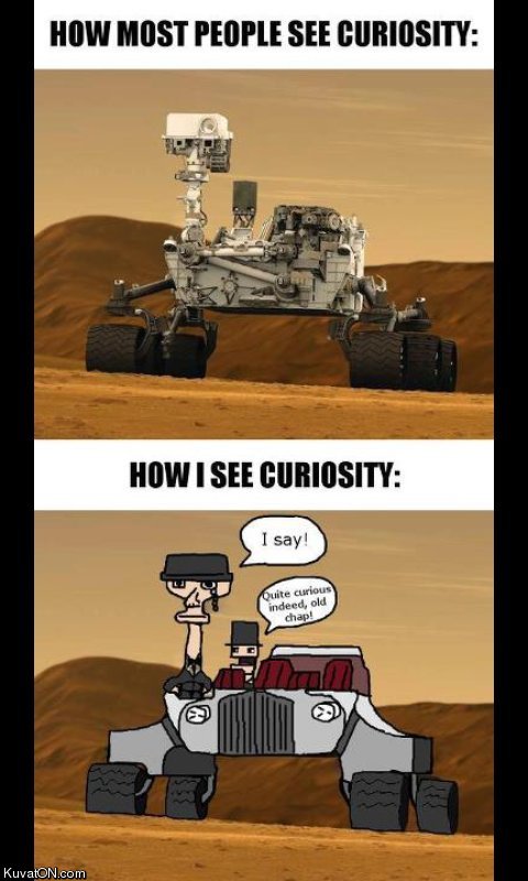 curiosity.jpg