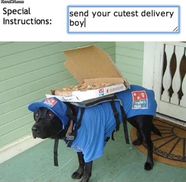 cutes_delivery_boy.jpg