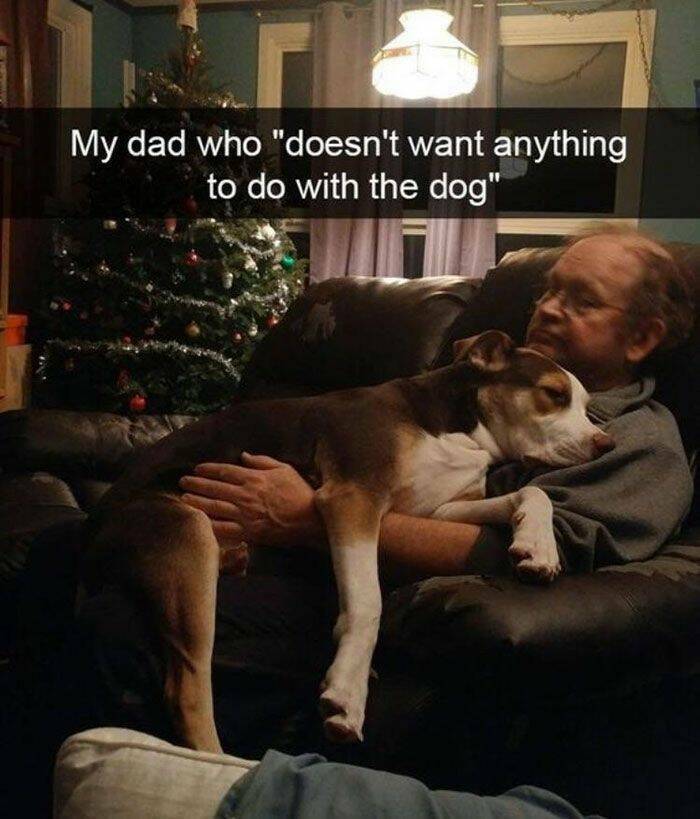 dadanddog.jpg