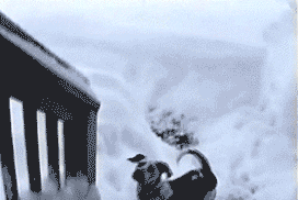deep_snow.gif