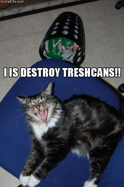 destroy_cat.jpg