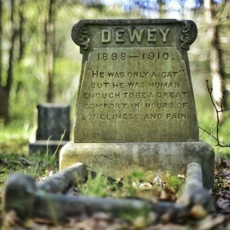 deweyfriend.jpg