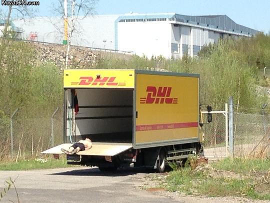 dhl5.jpg