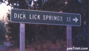 dick_lick_springs.jpg