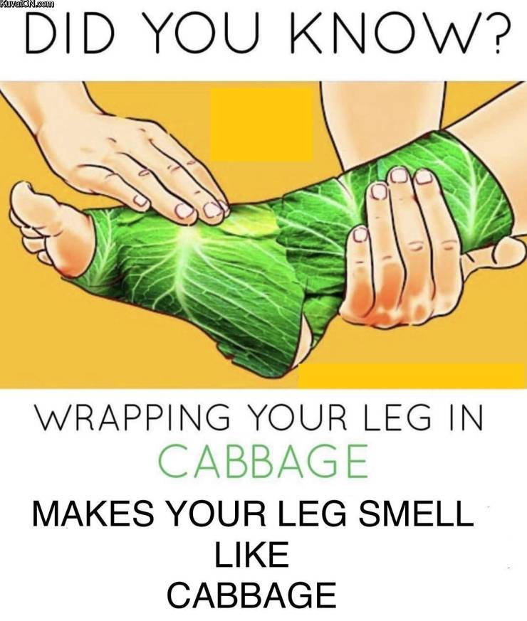 didyouknow.jpg