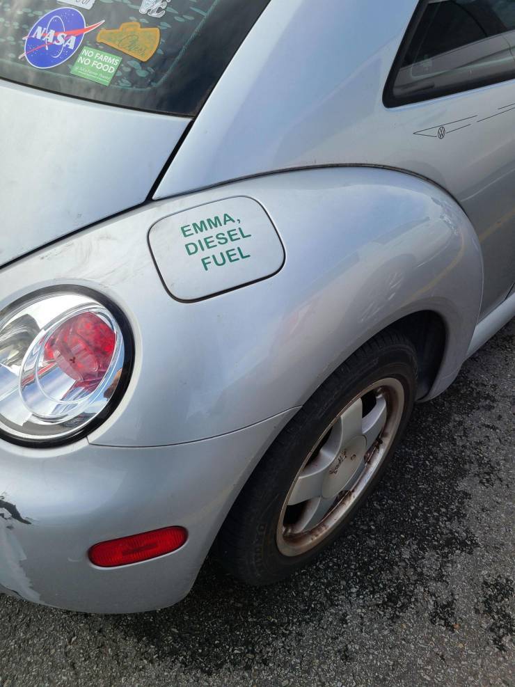dieselia_sit_emma.jpg