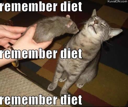 diet_cat.jpg