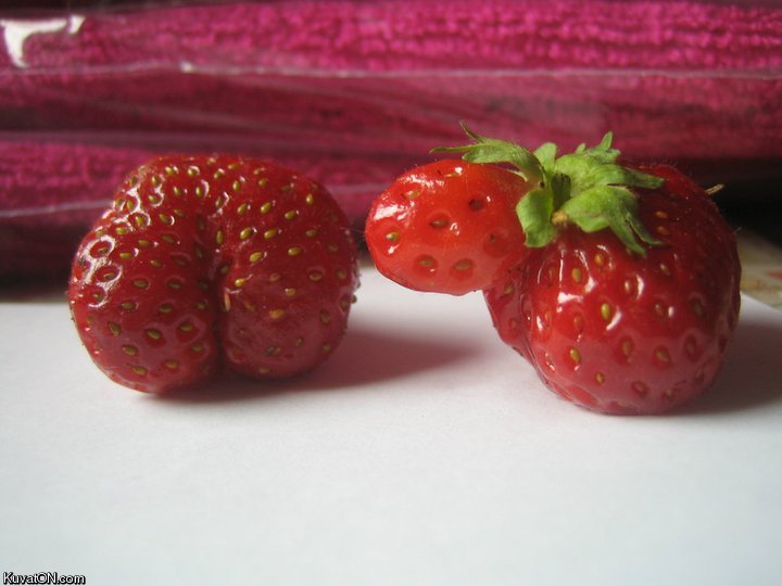 dirty_mind_strawberries.jpg