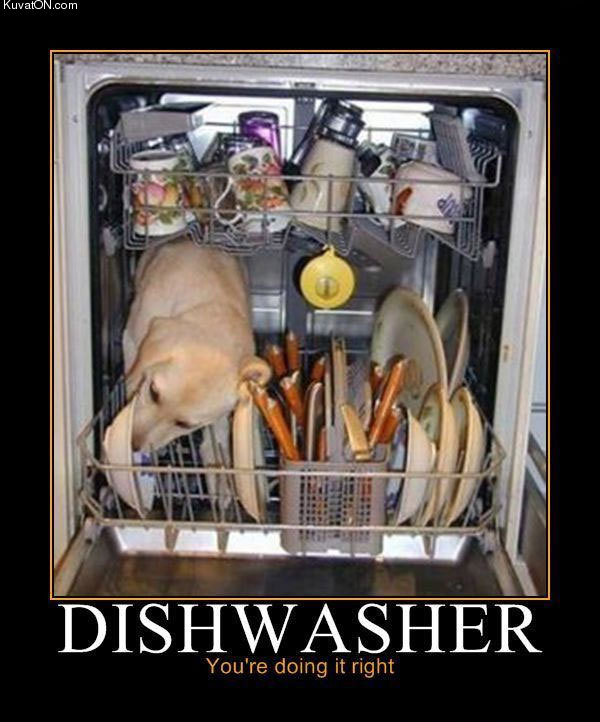 dishwasher.jpg