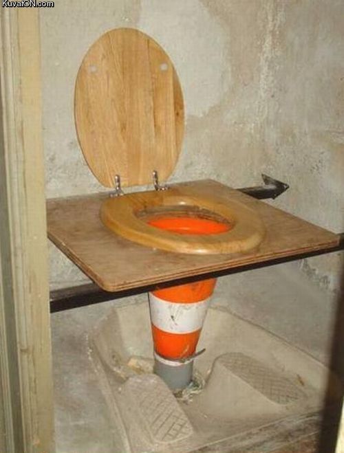 diy_toilet.jpg