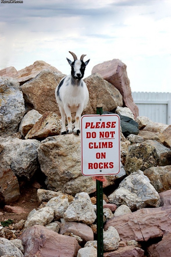 do_not_climb_on_rocks.jpg