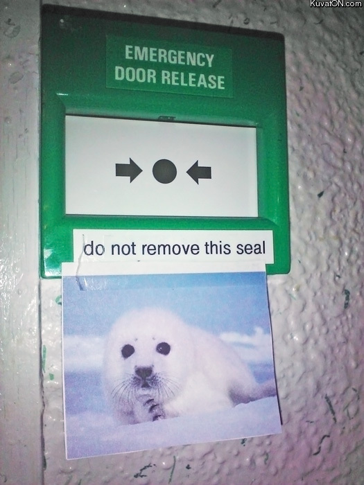 do_not_remove_this_seal.jpg