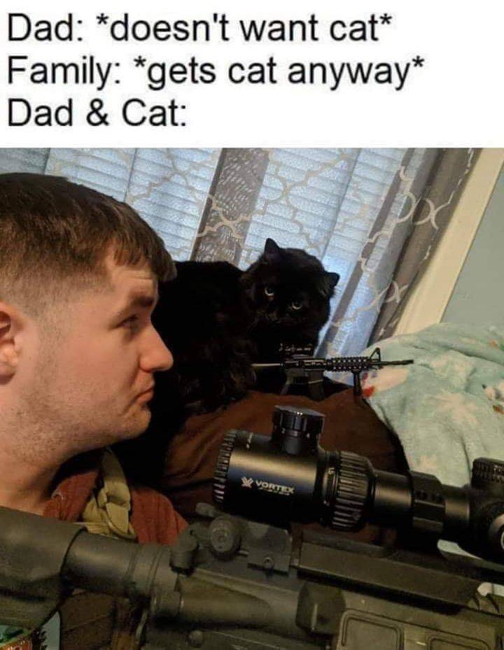 doesnt_want_cat.jpg