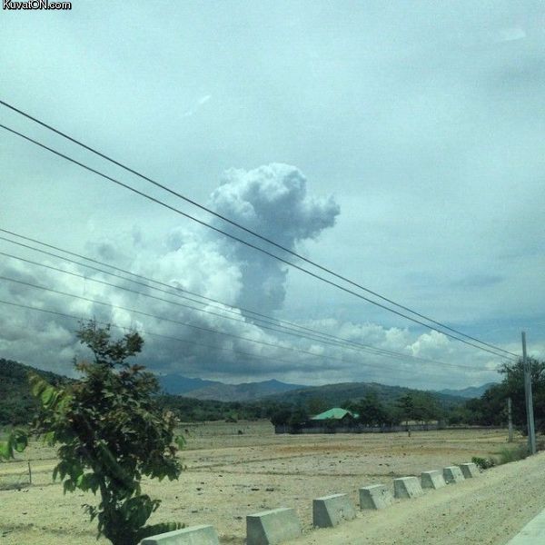 dog_cloud_2.jpg