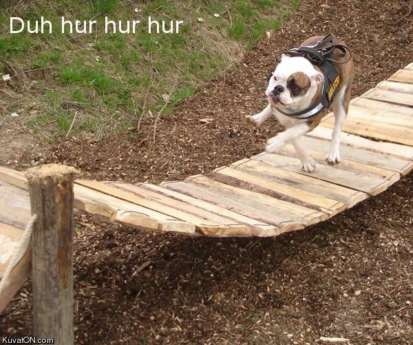 dog_duh_hur_hur.jpg